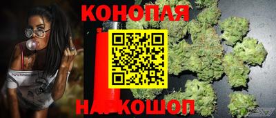 герыч Лесосибирск
